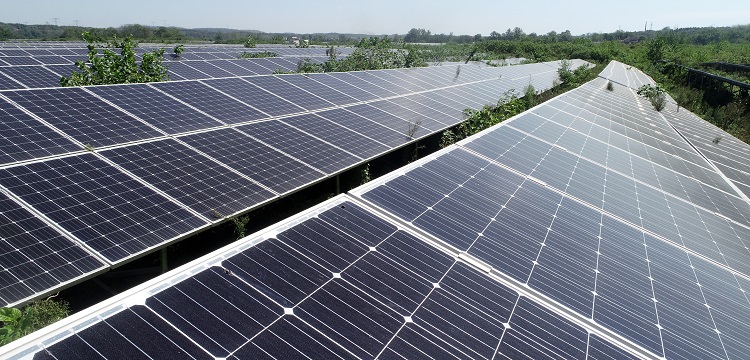 海洋監測技術規范解讀：海域環境質量、水環影響因子、突發事件及專題監測