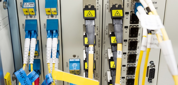 深圳大學公衛考研公共衛生考研報考要求?美國政府問責局報告稱「 美公共衛生部門疫情應對存在『 持續缺陷 』」，該缺陷是什么  健明迪檢測