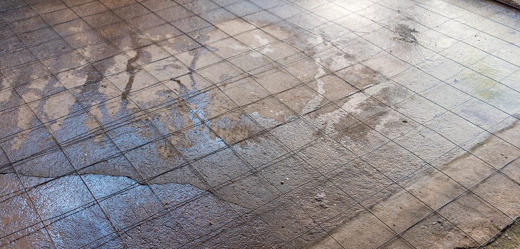 媒體報道多個電商平臺有售「造假消毒液」，用「甲醇冒充酒精」售賣，甲醇對人體的危害有多大 如何辨別 ?寵物醫院用什么消毒液? 健明迪檢測