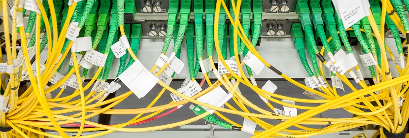 公共衛生考研，這是最好的時期?。?！?【2022為民實事系列評論】筑牢公共衛生防護網，是須臾不可放松的大事 健明迪檢測