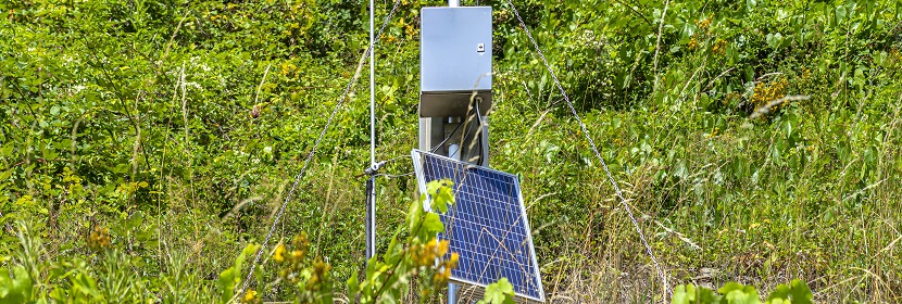 城市供水及飲用水中微生物如何快速檢測 這幾個單位的對比給出答案！?微生物高分文章必備分析LEfSe?健明迪