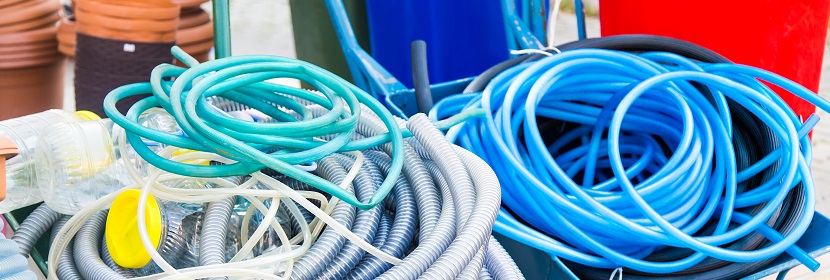 Bmp5短耳小鼠動物模型