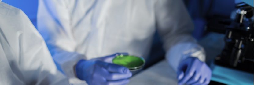 發泡聚丙烯(PP-E)珠粒檢測